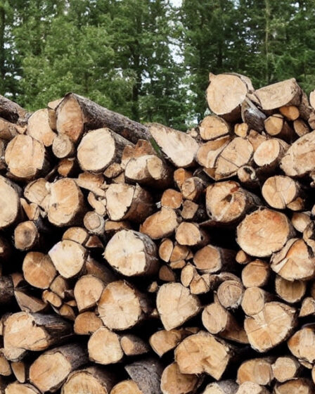 Brændeflækning for begyndere: Sådan kommer du godt i gang