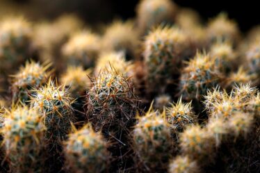 Fra kontorstol til træning: Rygvenlige vaner for mænd