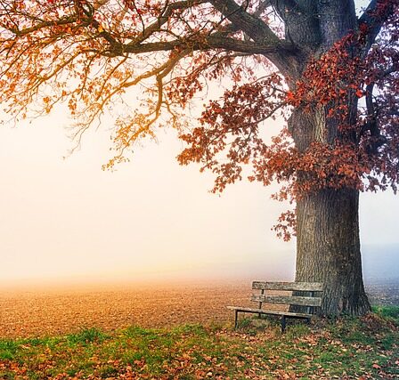 Tagrensning: Få dit tag til at se ud som nyt igen