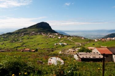 Miljøvenlig algerens – sådan gør du uden skrappe kemikalier