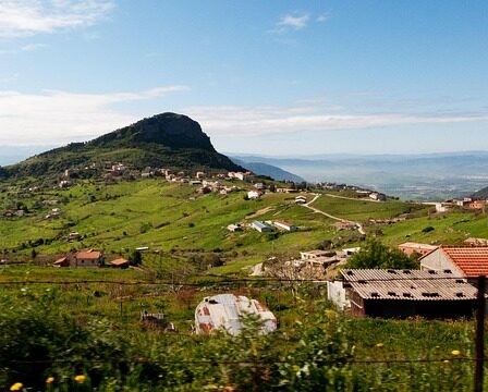 Miljøvenlig algerens – sådan gør du uden skrappe kemikalier