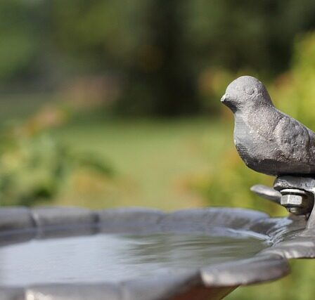 Esschert Designs Fuglebad: Et Miljøvenligt Valg til Dit Haveskue