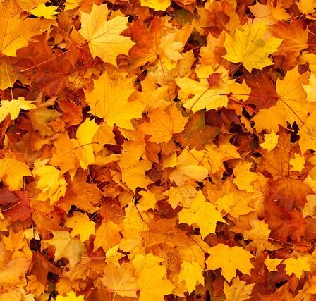 Opnå let og luftig dej med Fiskars innovative dejskraber