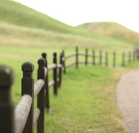 Hvorfor hegnstråd er den bedste løsning til beskyttelse af din ejendom