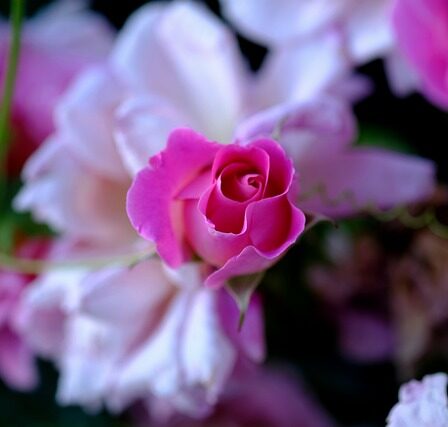 Sådan får I gang i lagnerne med sexspil: 8 tips til at skabe sensuel spænding