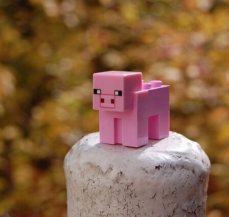 Hemmelige minecraft-biomer du (måske) ikke har fundet