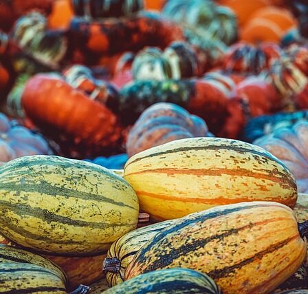 De glemte grøntsager – sådan får du pastinak og skorzonerrod ind i køkkenet