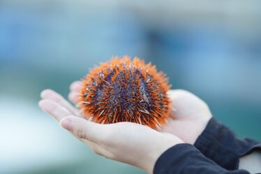 Von der idee zur route: Schritt-für-schritt zur traumreise