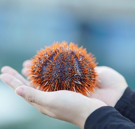 Von der idee zur route: Schritt-für-schritt zur traumreise