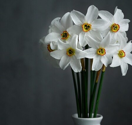 Fra blomsterbed til påskepynt: Sådan bruger du påskeliljer i din dekoration