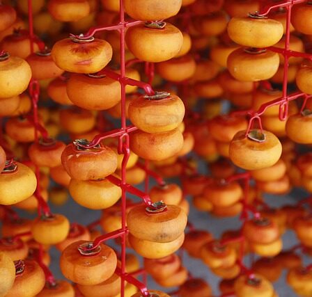 SuperDry tørrestativ: Den perfekte løsning til tørring af tøj derhjemme