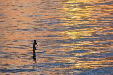 Paddleboard som træningsform: Sådan får du en stærkere krop på vandet