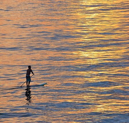 Paddleboard som træningsform: Sådan får du en stærkere krop på vandet